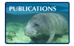 Publications