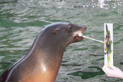 sea lion painting a picture