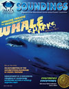 IMATA Soundings Magazine