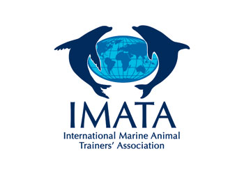 TE - IMATA Logo