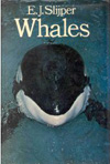 BOOK - Whales