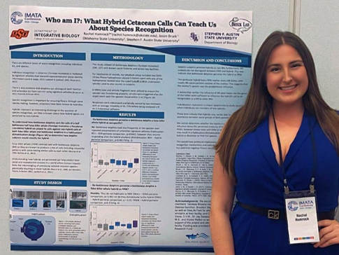 Image for Slide #13 in Gallery #2