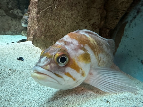 Image for Slide #14 in Gallery #5