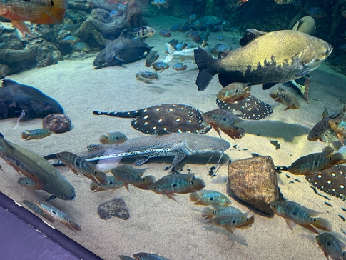 Image for Slide #13 in Gallery #5