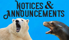 Notices and Announcements