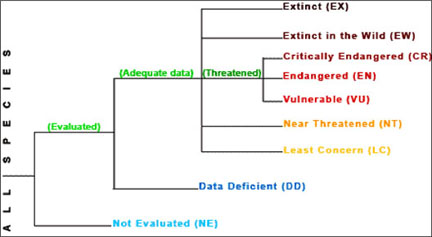 Endangered and threatened species chart